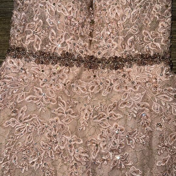 Mac Duggal A79341 Appliqué Sleeveless Plunge Neck Trumpet Blush Gown. Size 2. 17 - Picture 15 of 15